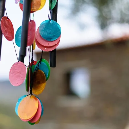 Quinta De Merouco - Do Rolapipas Alijó