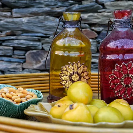 Quinta De Merouco - Do Rolapipas Alijó