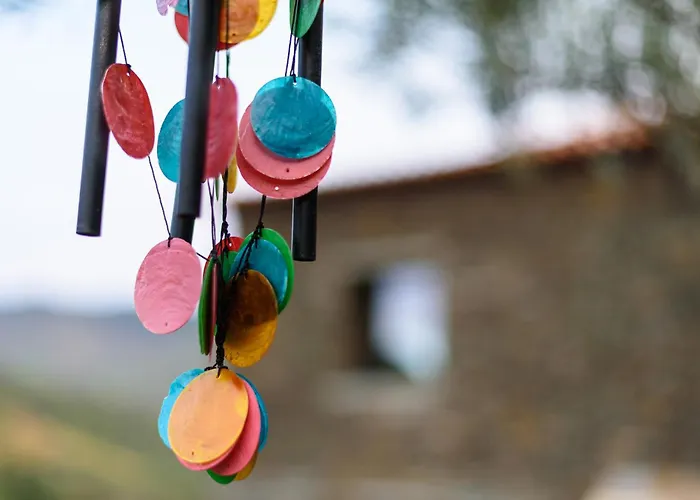 Quinta De Merouco - Do Rolapipas Alijó